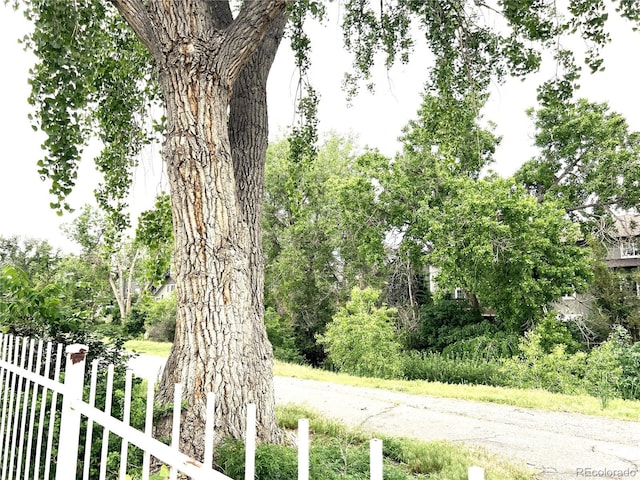 1470 S Quebec Way Unit 275, Denver, CO 80231 - view of yard