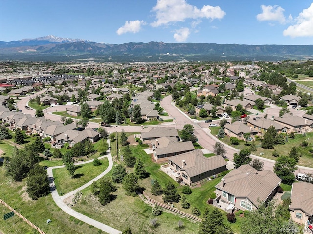 2739 Crooked Vine Ct, Colorado Springs, CO 80921 - photo 49