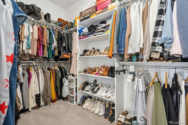 walk in closet with carpet floors