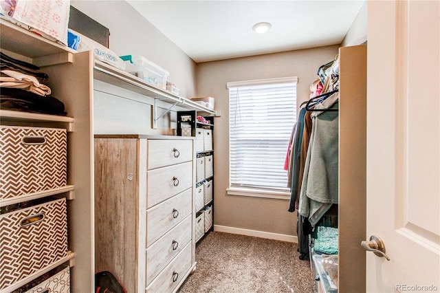 walk in closet featuring carpet floors