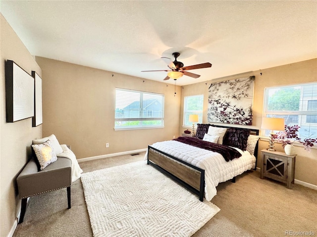 2631 S Flanders Ct, Aurora, CO 80013 - photo 13