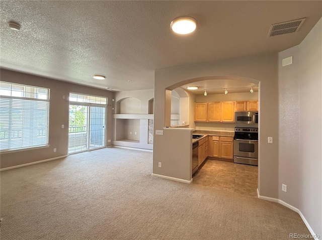 452 Black Feather Loop Unit 612, Castle Rock, CO 80104 - kitchen with stainless steel appliances, light carpet, baseboards, and a textured ceiling