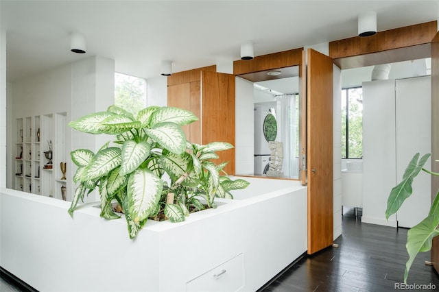 145 Dexter St, Denver, CO 80220 - photo 31