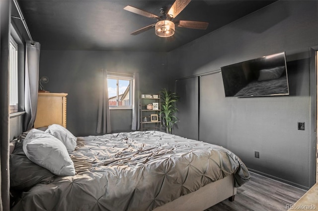 bedroom featuring ceiling fan, a closet, and wood finished floors