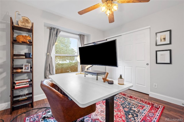 office area with ceiling fan and dark hardwood / wood-style flooring