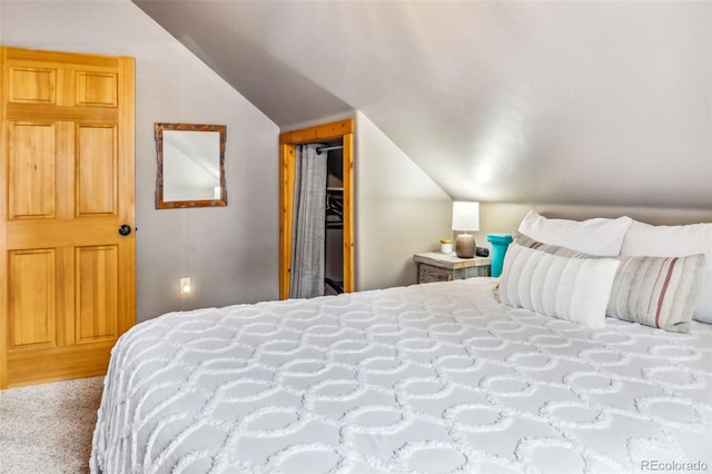 795 Zebulon St, Alma, CO 80420 - bedroom featuring vaulted ceiling and carpet floors