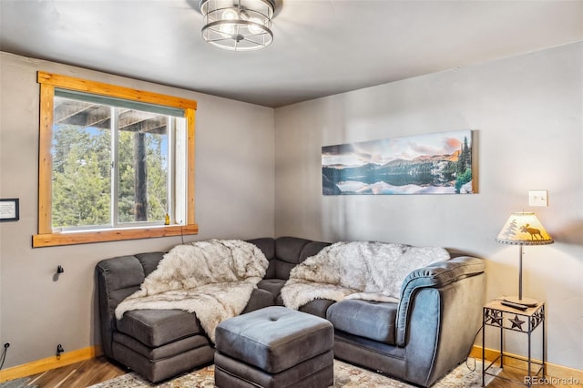 795 Zebulon St, Alma, CO 80420 - living room with baseboards and wood finished floors