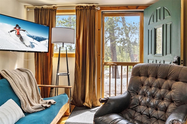 795 Zebulon St, Alma, CO 80420 - sitting room featuring carpet floors