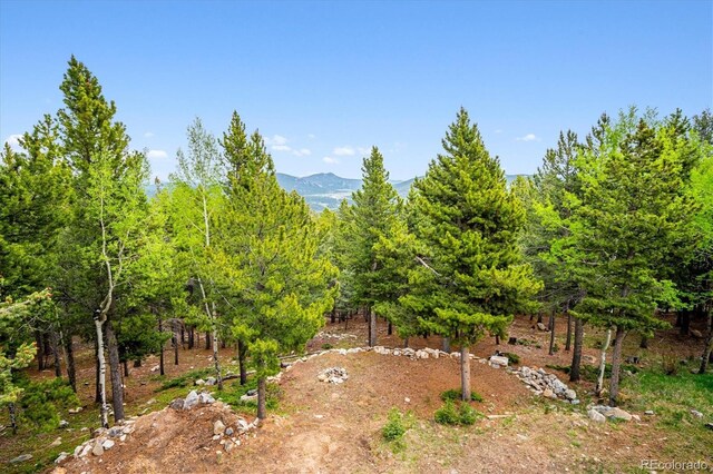 11094 Thomas Dr, Conifer, CO 80433 - view of yard with a mountain view
