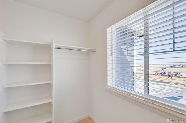 view of spacious closet