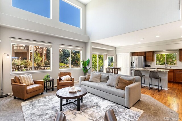 living room featuring light wood-type flooring, a towering ceiling, and sink