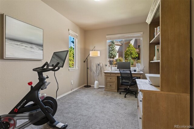 office space with light colored carpet