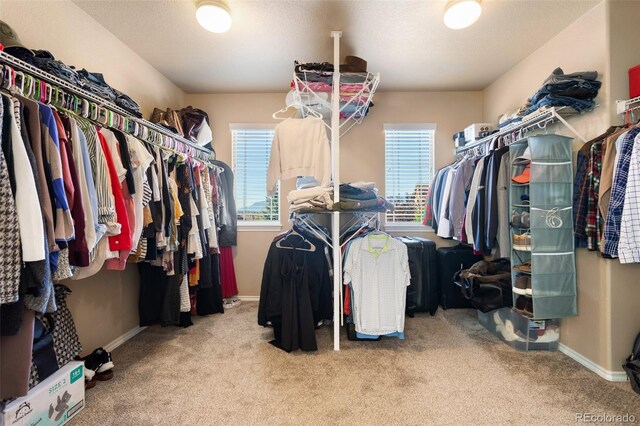 walk in closet with light carpet