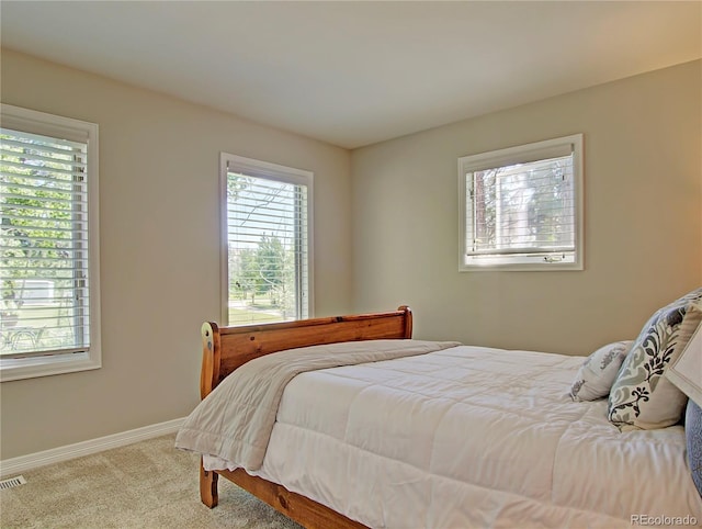 18210 Pine Vista Pl, Colorado Springs, CO 80908 - photo 11