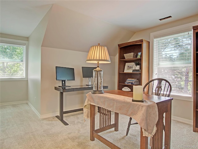 18210 Pine Vista Pl, Colorado Springs, CO 80908 - photo 19