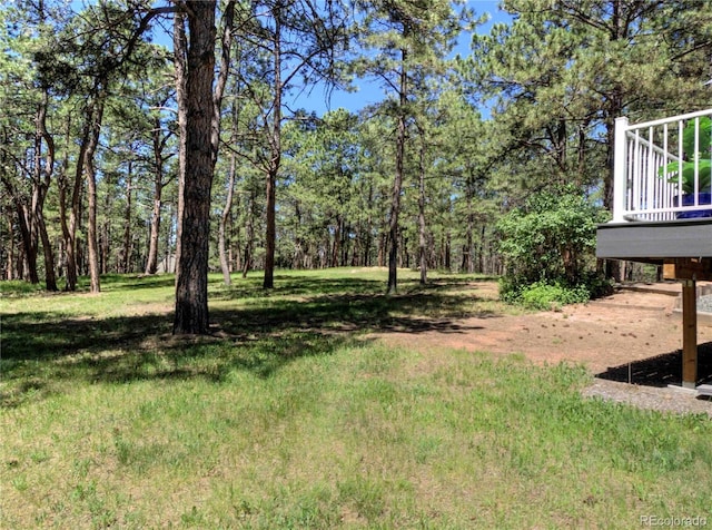 18210 Pine Vista Pl, Colorado Springs, CO 80908 - photo 24
