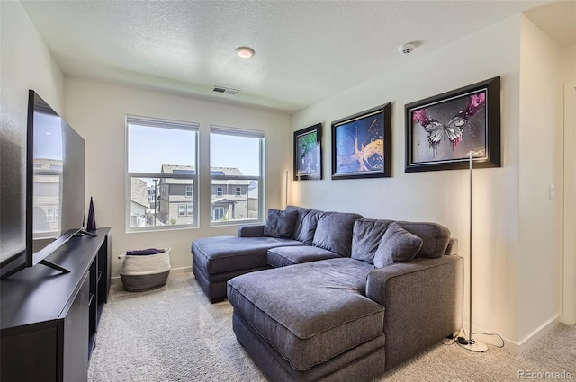 7022 Todd Ct, Frederick, CO 80530 - photo 21