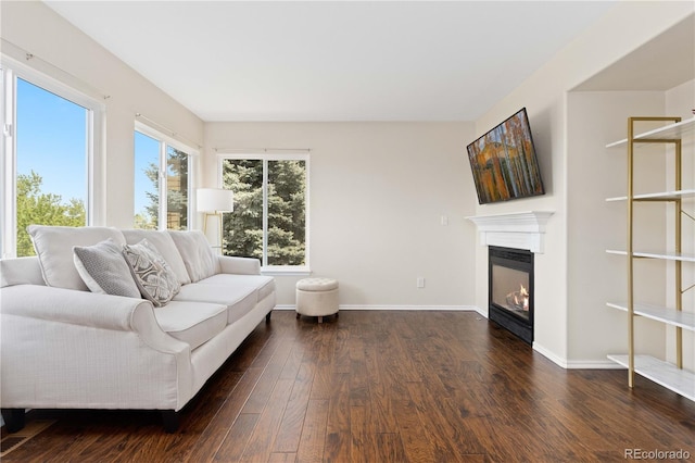 9719 Burberry Way, Highlands Ranch, CO 80129 - living area with wood finished floors, a glass covered fireplace, and baseboards