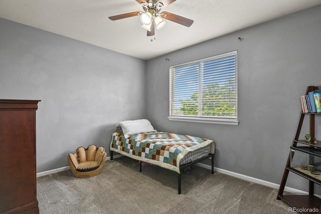 6245 E 121st Dr, Brighton, CO 80602 - photo 16