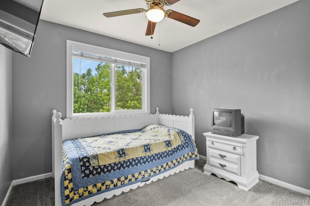 6245 E 121st Dr, Brighton, CO 80602 - photo 17