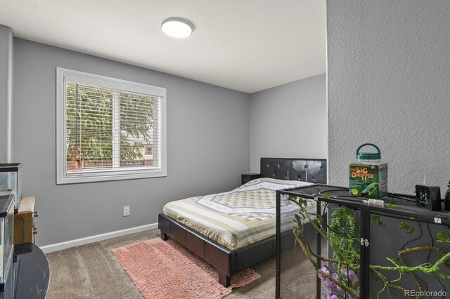 6245 E 121st Dr, Brighton, CO 80602 - photo 24