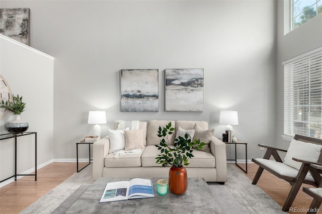 living room featuring a high ceiling and light wood-type flooring