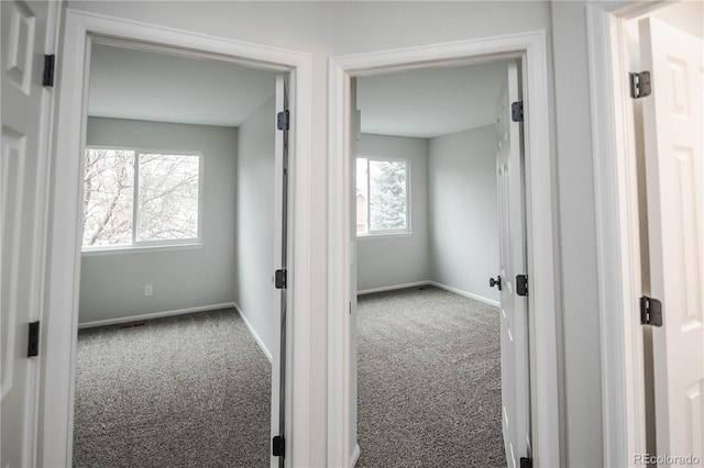 329 Lodgewood Ln, Lafayette, CO 80026 - hall with carpet floors and baseboards