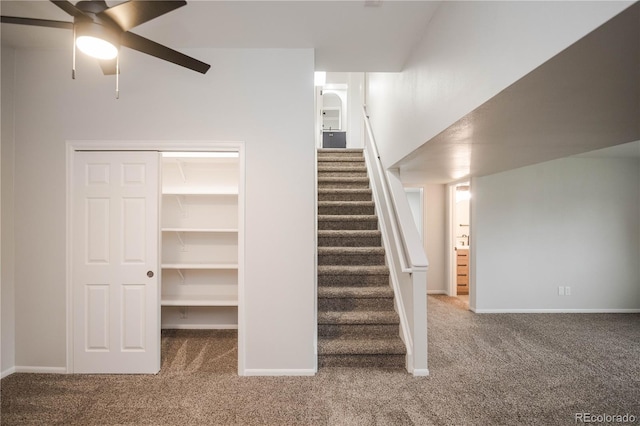 329 Lodgewood Ln, Lafayette, CO 80026 - stairway with carpet floors, ceiling fan, and baseboards