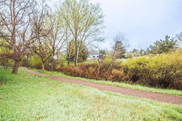 329 Lodgewood Ln, Lafayette, CO 80026 - view of yard