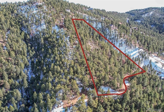 13126 Andiron Way, Larkspur, CO 80118
