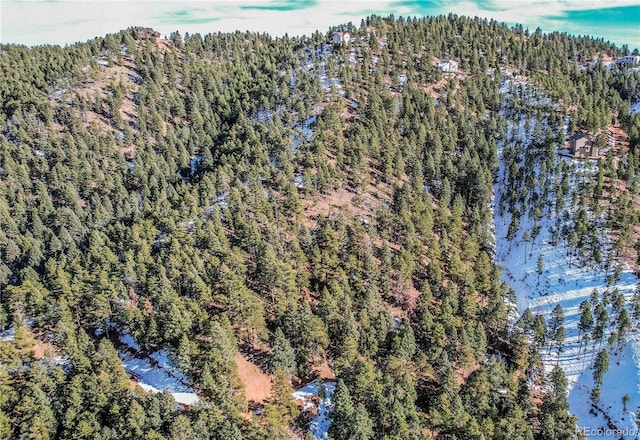 13126 Andiron Way, Larkspur, CO 80118