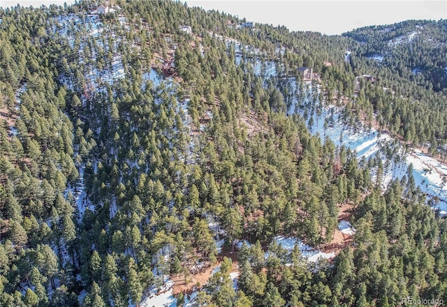 13126 Andiron Way, Larkspur, CO 80118