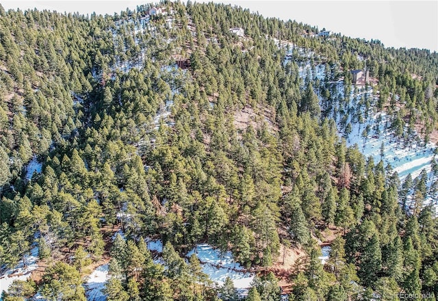 13126 Andiron Way, Larkspur, CO 80118