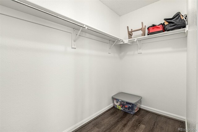 11105 E Alameda Ave Unit 204, Aurora, CO 80012 - spacious closet with dark wood-style floors