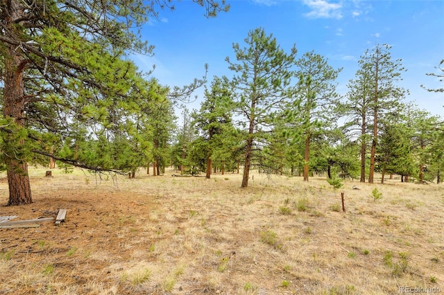 436 Hayhook Way, Hartsel, CO 80449 - photo 10