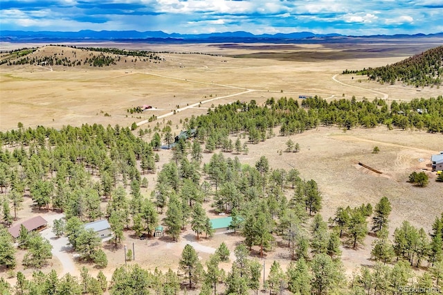436 Hayhook Way, Hartsel, CO 80449 - photo 11