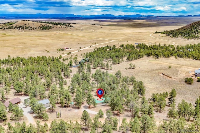 436 Hayhook Way, Hartsel, CO 80449 - photo 12
