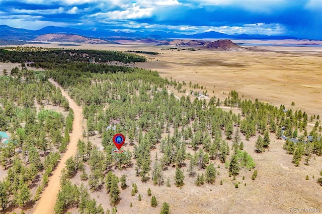 436 Hayhook Way, Hartsel, CO 80449 - photo 14