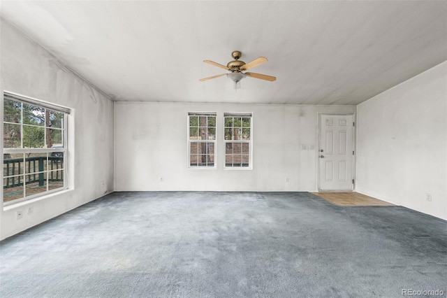 436 Hayhook Way, Hartsel, CO 80449 - photo 19