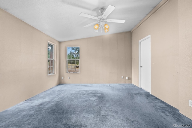 436 Hayhook Way, Hartsel, CO 80449 - photo 41