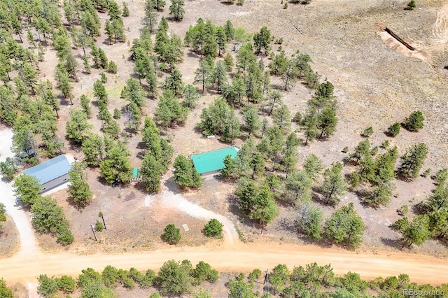 436 Hayhook Way, Hartsel, CO 80449 - photo 46