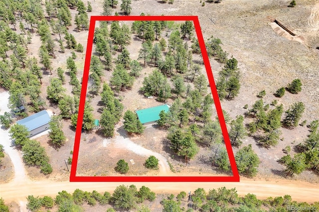 436 Hayhook Way, Hartsel, CO 80449 - photo 47