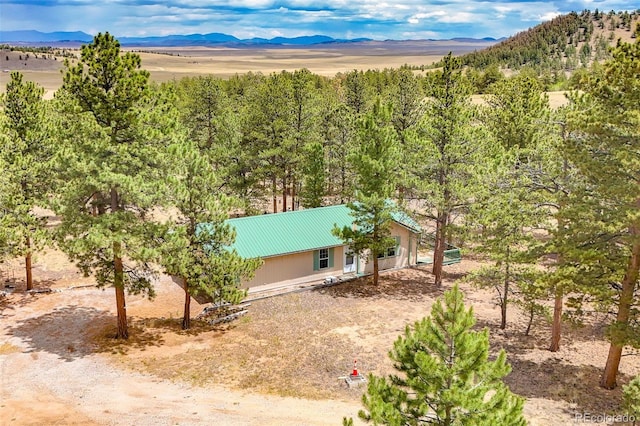 436 Hayhook Way, Hartsel, CO 80449 - photo 48