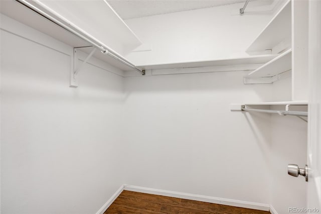 401 S Kalispell Way Unit 206, Aurora, CO 80017 - spacious closet featuring dark wood-type flooring