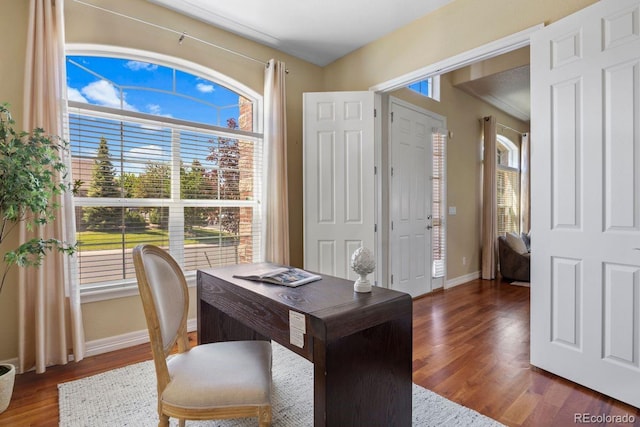 7472 Iridium Way, Castle Rock, CO 80108 - office space with wood finished floors and healthy amount of natural light