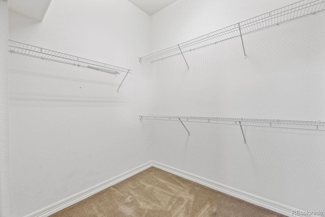 7472 Iridium Way, Castle Rock, CO 80108 - spacious closet with carpet floors