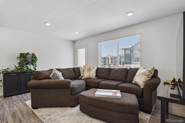 5121 N Yampa St, Denver, CO 80249 - living area featuring light wood-type flooring and recessed lighting
