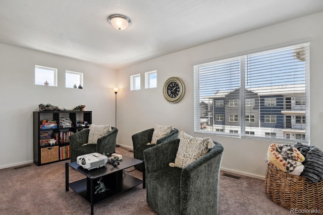 5121 N Yampa St, Denver, CO 80249 - carpeted living room with baseboards