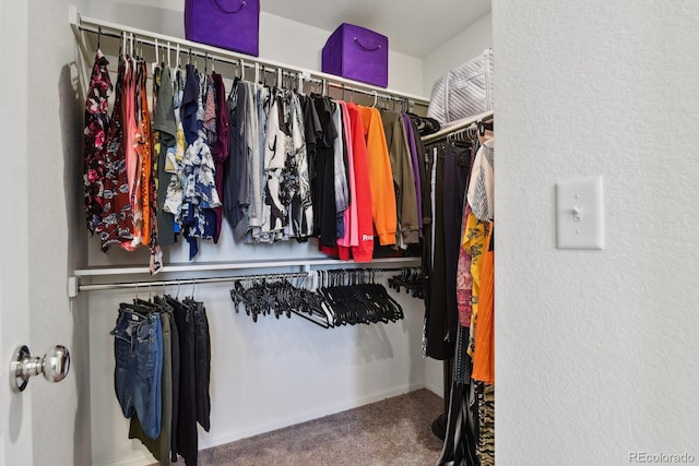 5121 N Yampa St, Denver, CO 80249 - spacious closet with carpet flooring