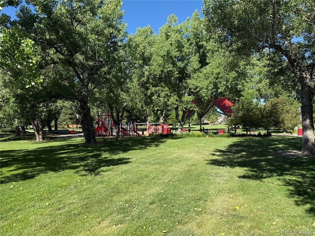 8452 Everett Way Unit C, Arvada, CO 80005 - view of green lawn